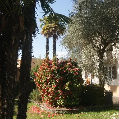 Apartment Ascona: Casa Gina