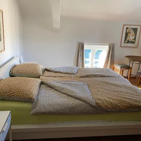 Apartment Ascona: Casa Gina Ascona